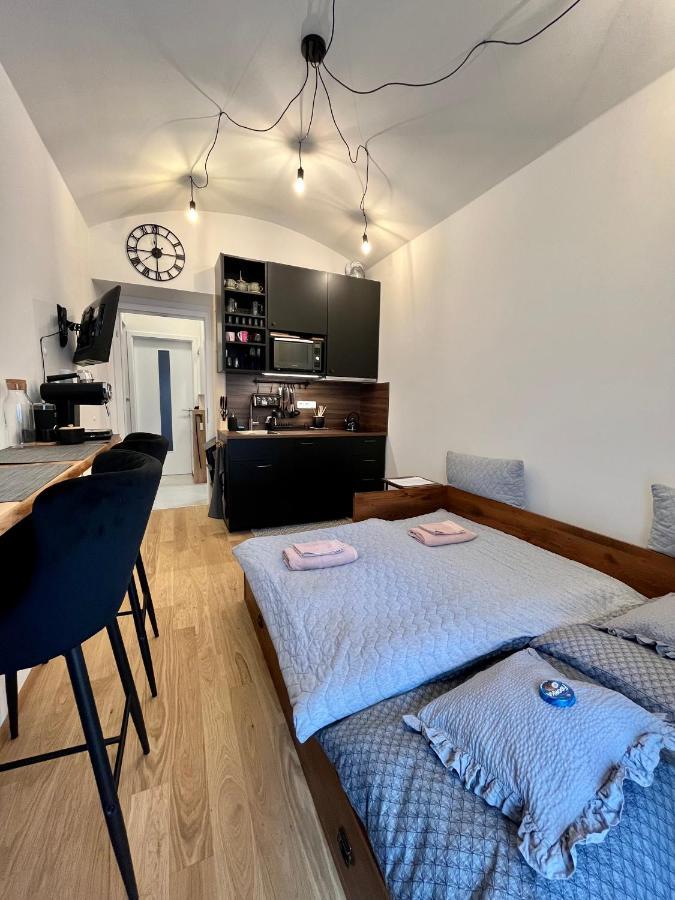 Studio V Prizemi S Kuchyni A Koupelnou Praha Exteriér fotografie